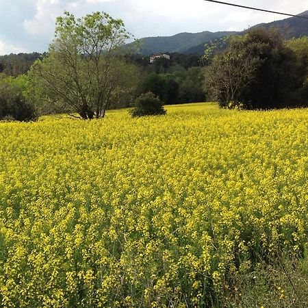 Sant Pere de Vilamajor Casa Rural Can Panxa מראה חיצוני תמונה