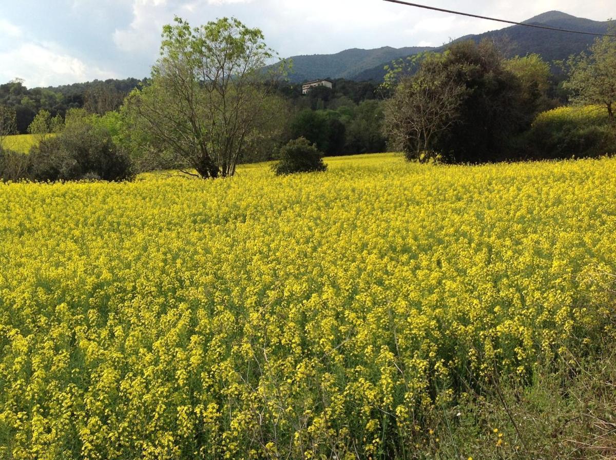 Sant Pere de Vilamajor Casa Rural Can Panxa מראה חיצוני תמונה