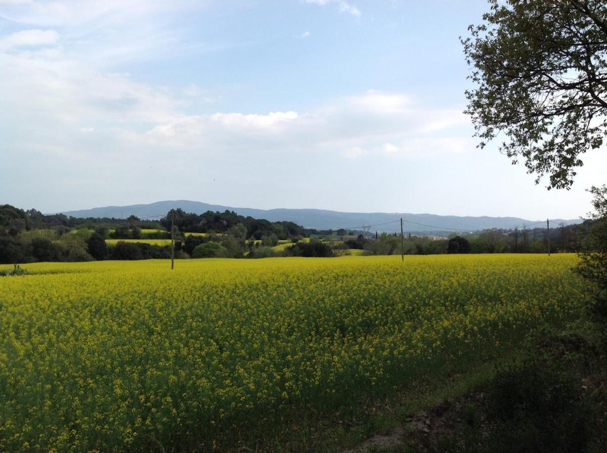 Sant Pere de Vilamajor Casa Rural Can Panxa מראה חיצוני תמונה