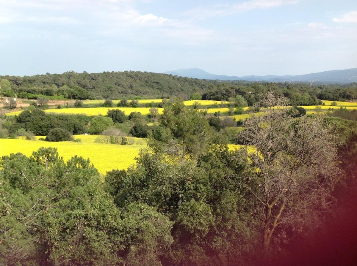 Sant Pere de Vilamajor Casa Rural Can Panxa מראה חיצוני תמונה